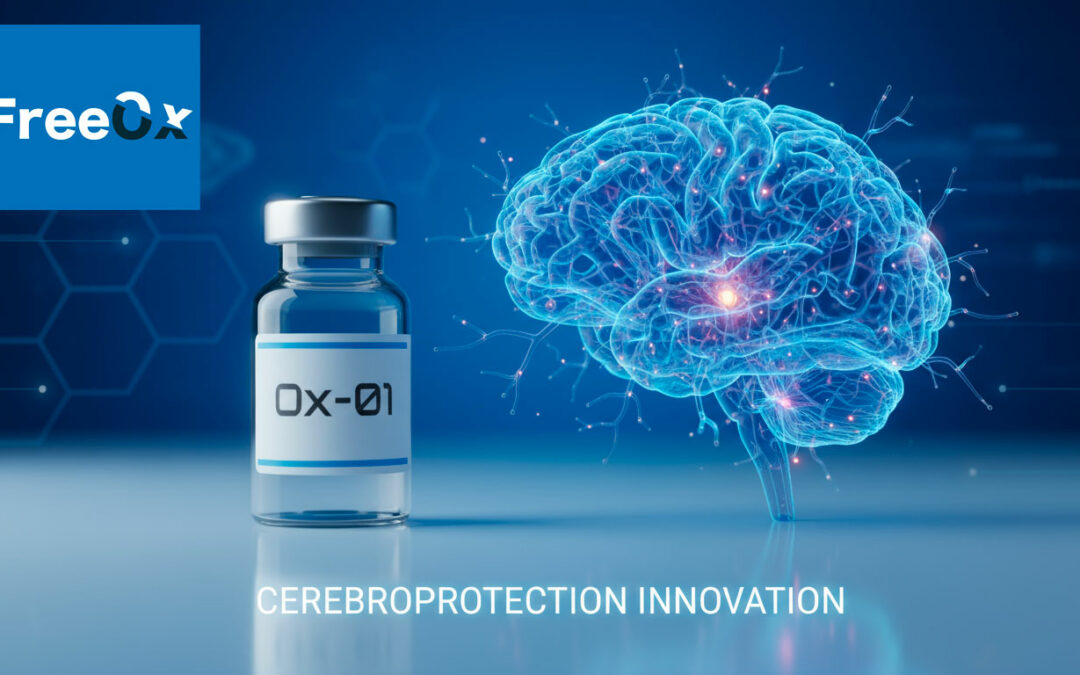 FreeOx opens funding round of €2,5 million to finance ischemic stroke therapy